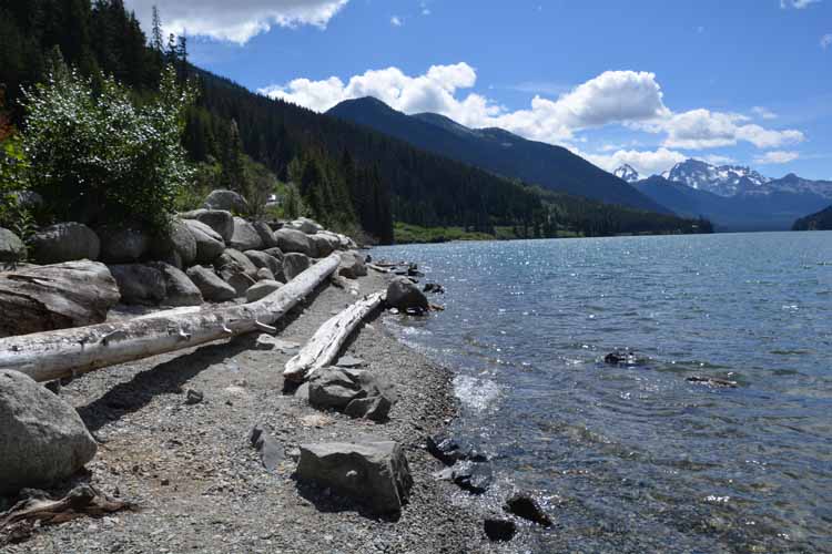 lake with log jam